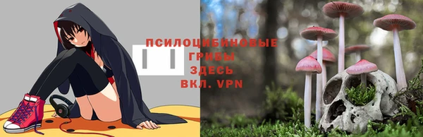 наркотики Алексин