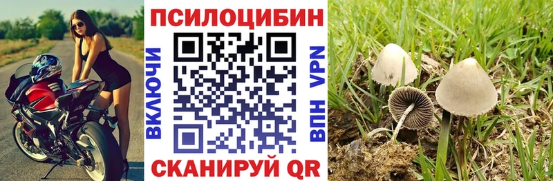 Галлюциногенные грибы Psilocybine cubensis  Амурск 